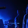 thus owls-32054